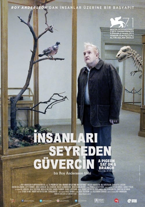 İnsanları Seyreden Güvercin (2014)