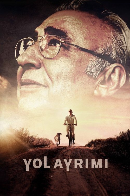 Yol Ayrımı (2017)