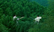 Kaplan ve Ejderha (2000)